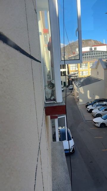 2026-01-05 12.18.34-Video-大头奴-我说大头怎么一天往阳台上跑