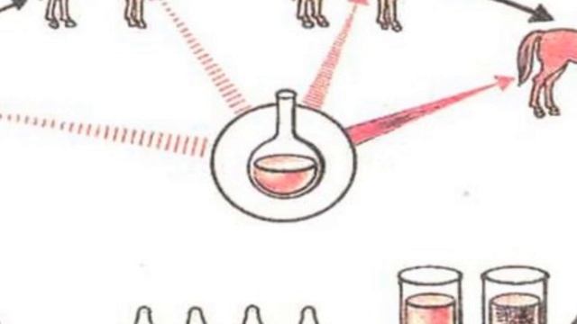 Г.Н. Габричевский  выдающийся ученый: жизнь открытия и вклад в науку