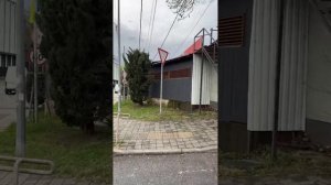 СОЧИ-ФЕВРАЛЬ +14🌊😱🌴