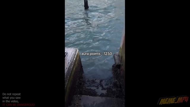 Unusual Memes Compilation V101