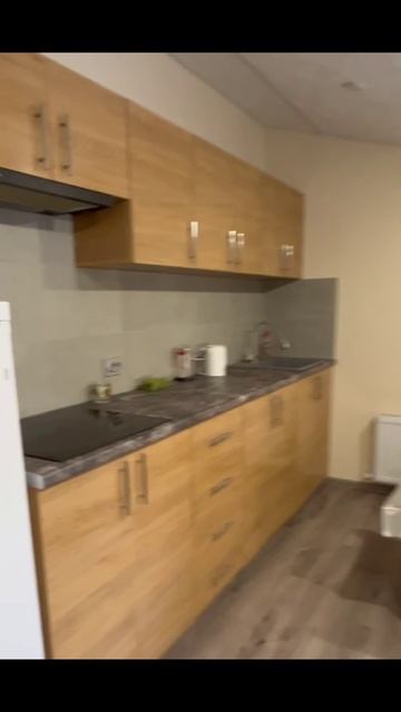 Сдаю квартиры на любой срок рядом с Центральным парком! +79185563112 Олег Юрьевич смотреть онлайн