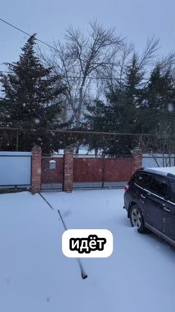 Краснодарский край в снегу 02.02.2026 #веснынебудет смотреть онлайн