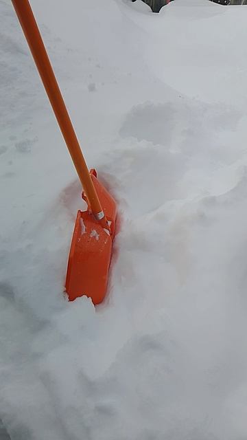 А снег  всё не прекращает идти..
