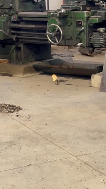 Мышь и кусочек хлеба хлеб#мышь#еда#закуска# Мышь и кусочек хлеба хлеб#мышь#еда#закуска#