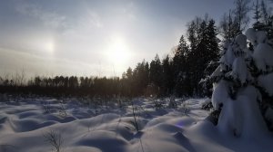 Гало, глубокий снег и две собаки: Машка и Мишка.