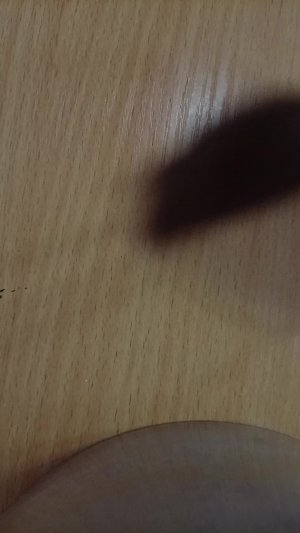 продолжаем трансляцию