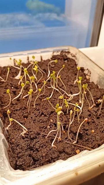 А тут такой февраль А тут такой февраль