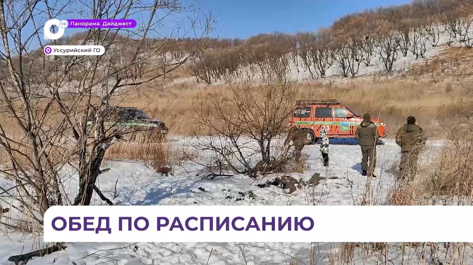 В Приморье в «лесных столовых» проходит подкормка копытных животных