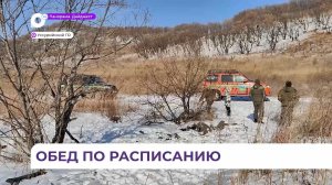 В Приморье в «лесных столовых» проходит подкормка копытных животных