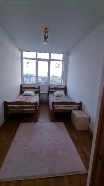 83700_Сайфутдинов смотреть онлайн