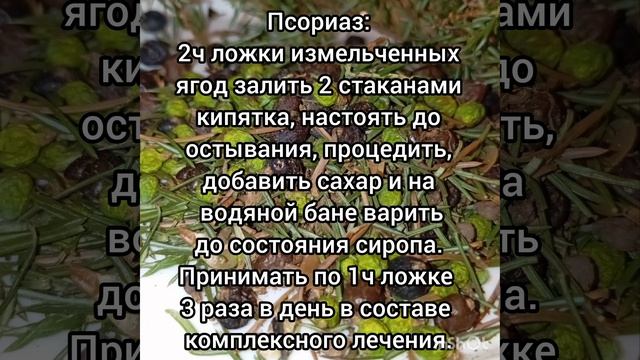 Можжевельник лечит кожные болезни!