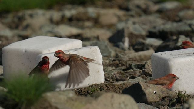 Там где рождаются реки