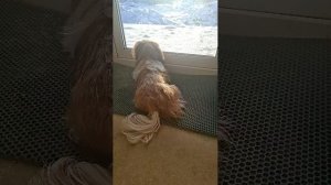 Ожидание🕔🕐