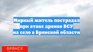 В Брянской области при атаке дронов ВСУ пострадал мирный житель