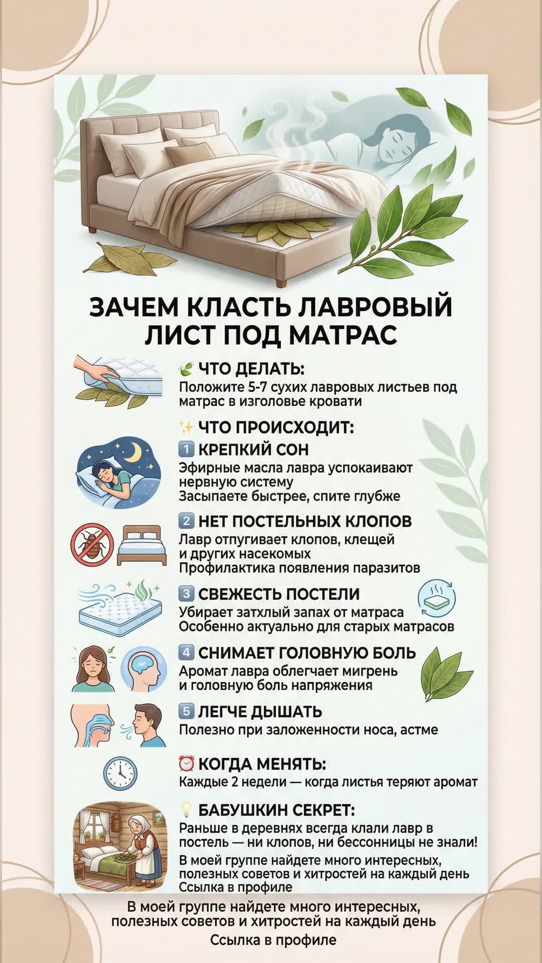 Зачем класть лавровый лист под матрас Зачем класть лавровый лист под матрас