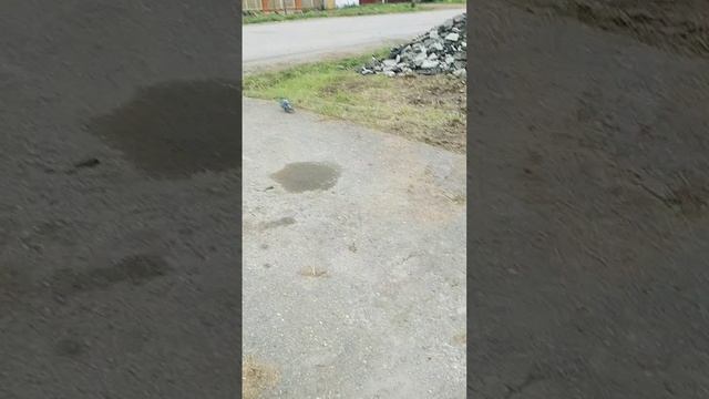 Видео по непутёвому началу ремонта тротуара на ул. Октябрьской от 10.09.2025г.