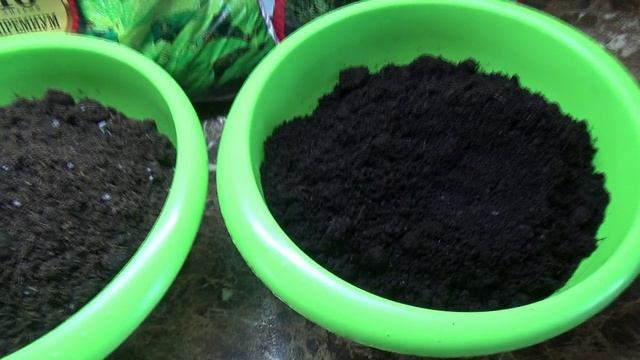 В магазин завезли ОЧЕНЬ ДЕШЕВЫЙ ГРУНТ ДЛЯ РАССАДЫ! Проверяю качество.