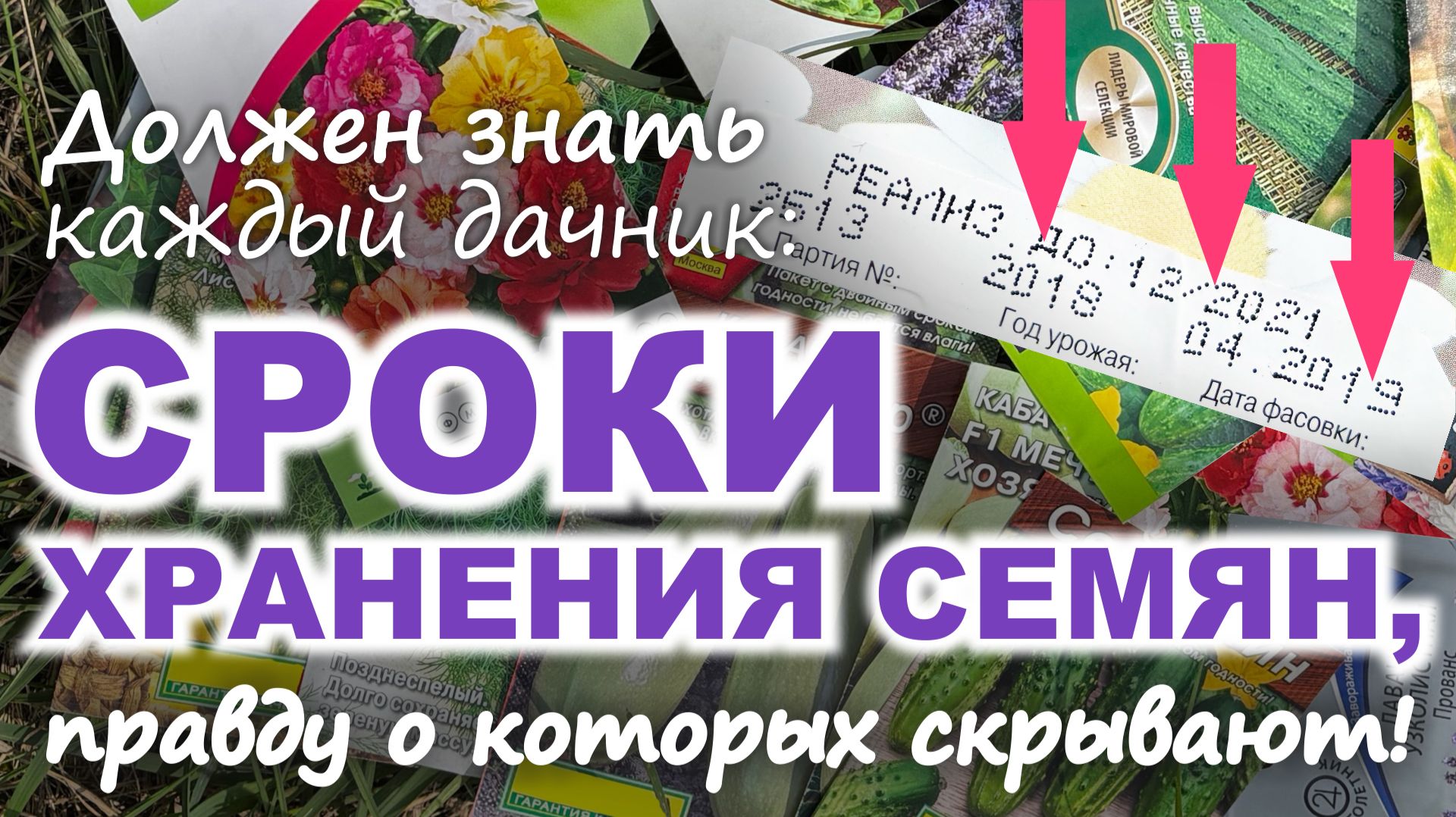 СРОКИ ХРАНЕНИЯ СЕМЯН: как сэкономить тысячи