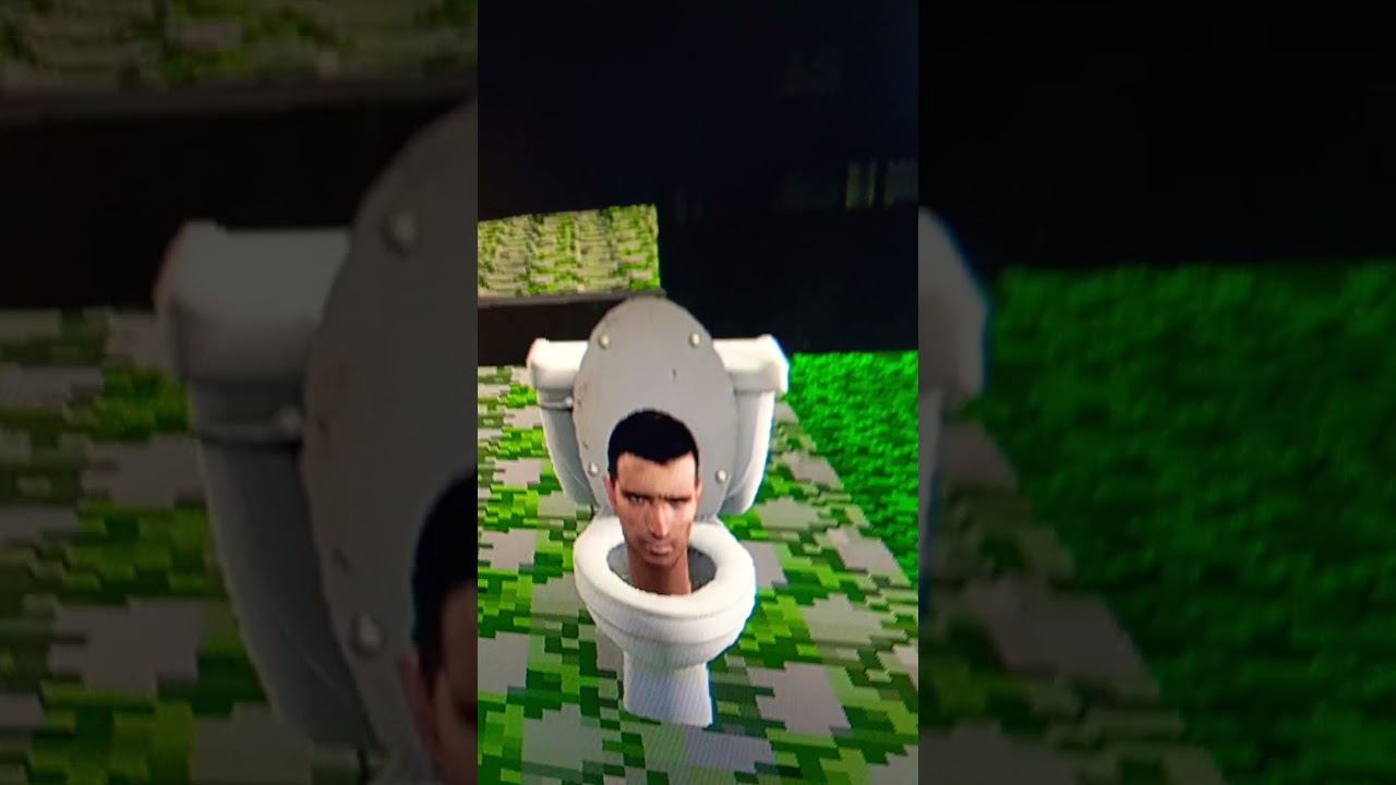 Garrys Mod  skibidi 1