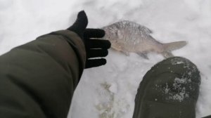 01.02.2026 Озеро Исетское. Ловля подлещика на безнасадку. Поставил жерлицы на судака