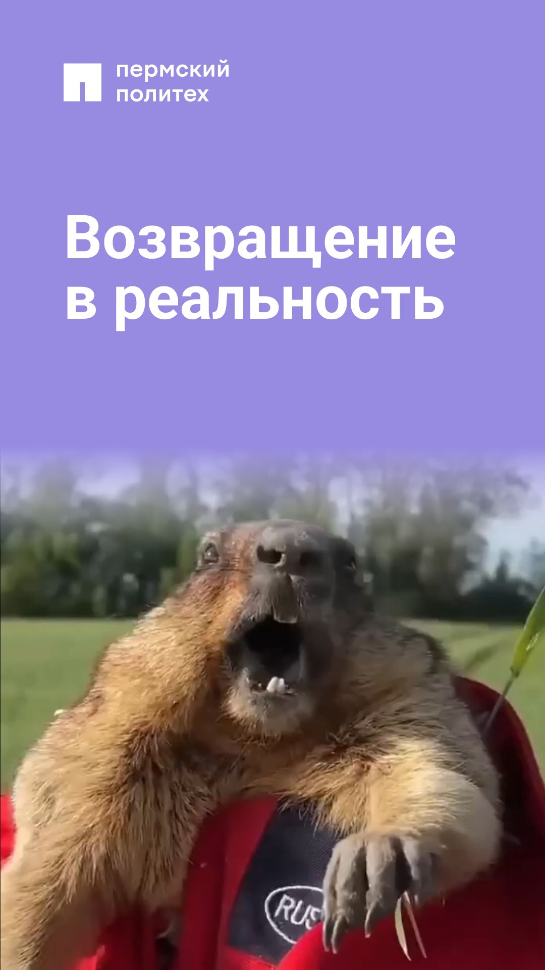 Конец свободе