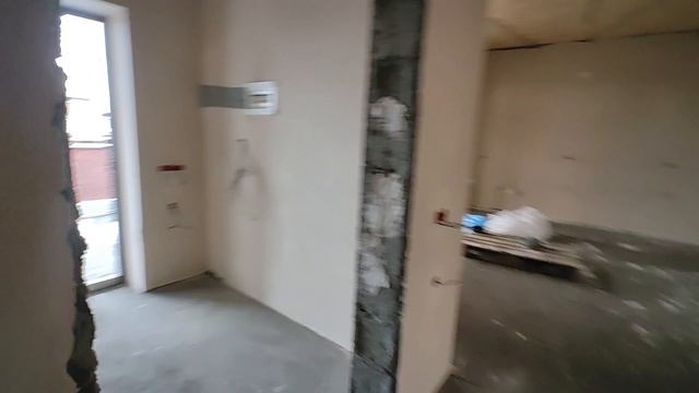 petal_20260113_125217.mp4