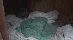 Вот такого гостя мы вообще не ожидали увидеть.