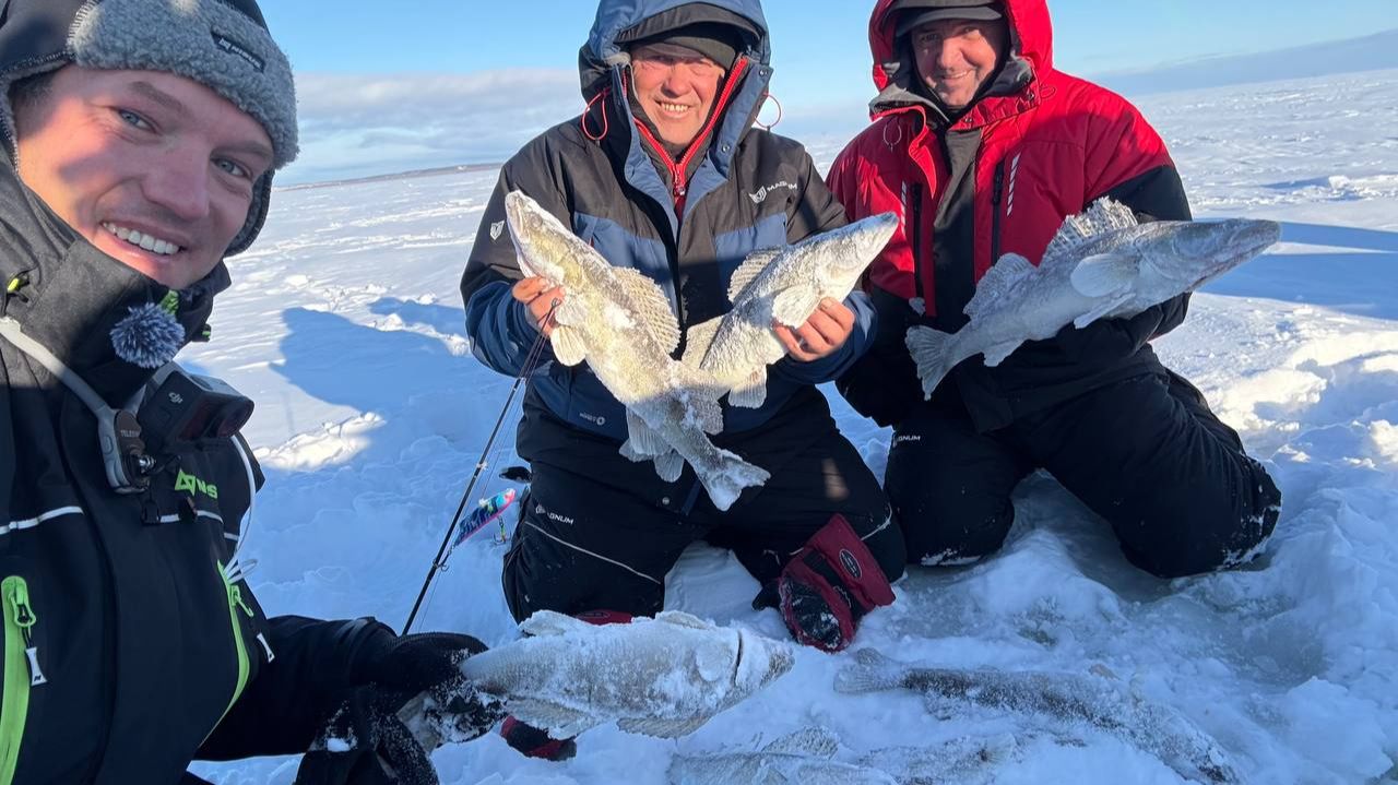 ЛОВЛЯ СУДАКА - БРАКОНЬЕРСТВО или ТРУД ВСЕ ВАЖНЫЕ МОМЕНТЫ ОТ ГИДОВ ЗАТОНА (Камское Устье) смотреть онлайн