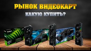 Рынок видеокарт - 2026 февраль. Какую видеокарту купить в ДНС и WB.