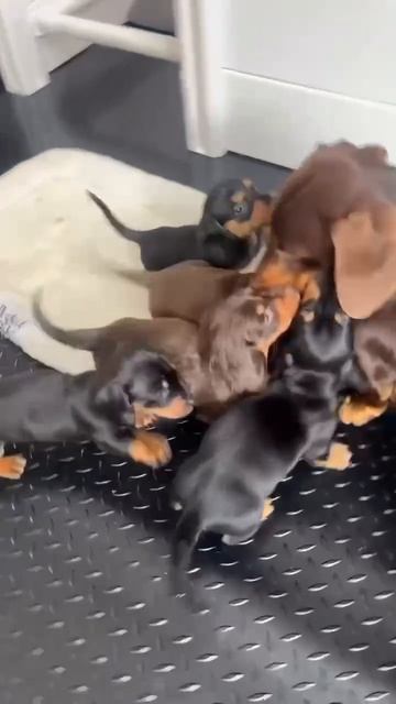 Ну, здравствуйте дети👀))