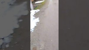 СТРИМ В ЧЕСТЬ 321 ПОДПИСЧИКА 🥳🥳🥳