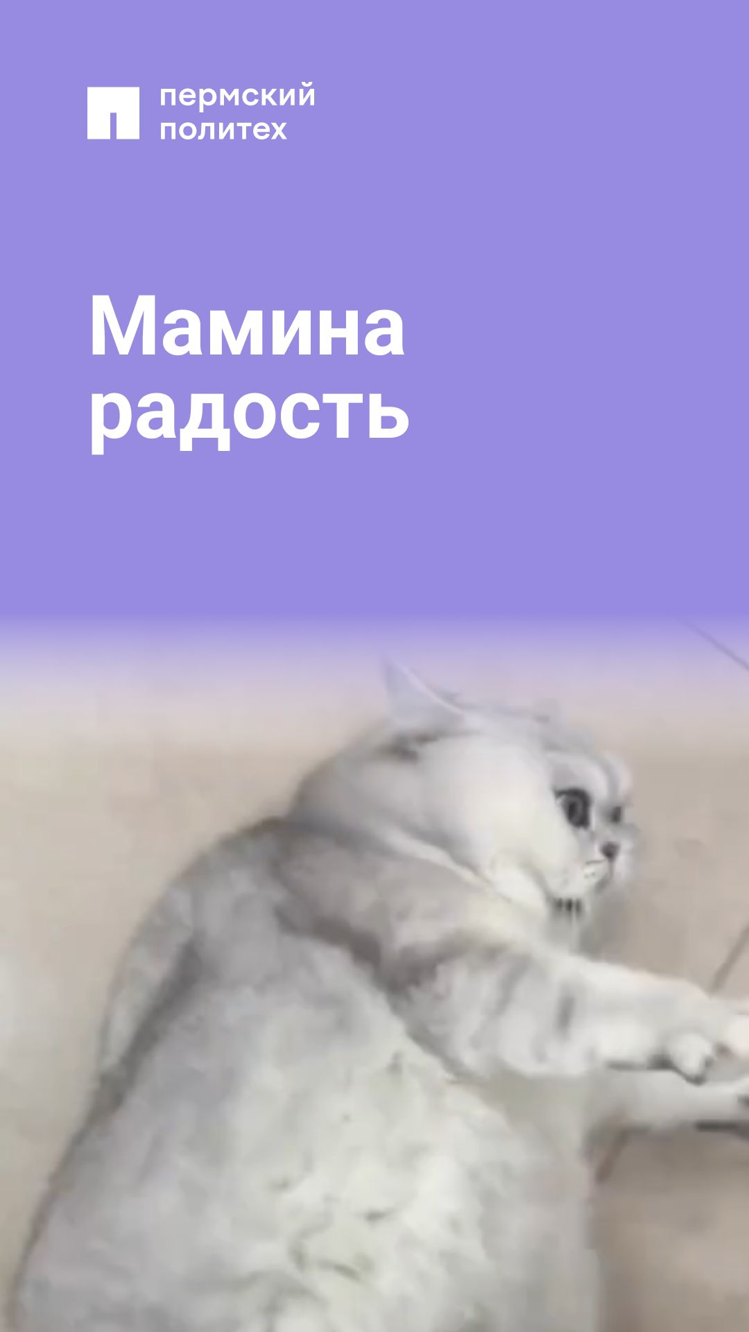 Когда каникулы прошли продуктивно