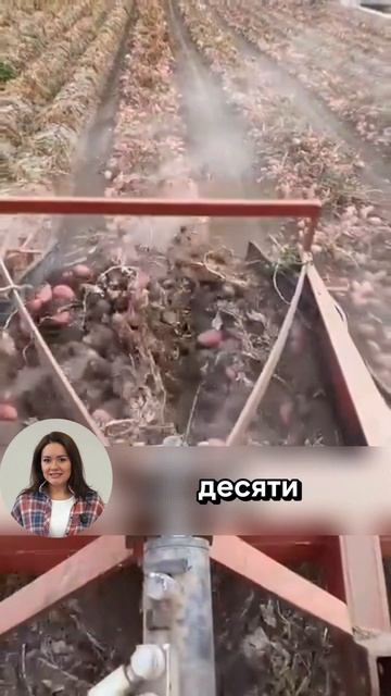 Увеличиваем урожай! Техника залог успеха! #минитрактор  #трактор