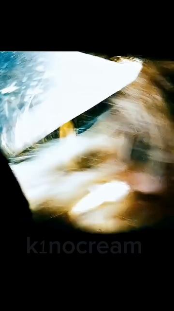 Бамблби раскрывает её секрет