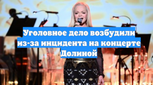 Уголовное дело возбудили из-за инцидента на концерте Долиной