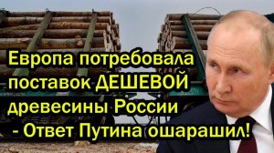 Европа потребовала поставок ДЕШЕВОЙ древесины России - Ответ Путина ошарашил!