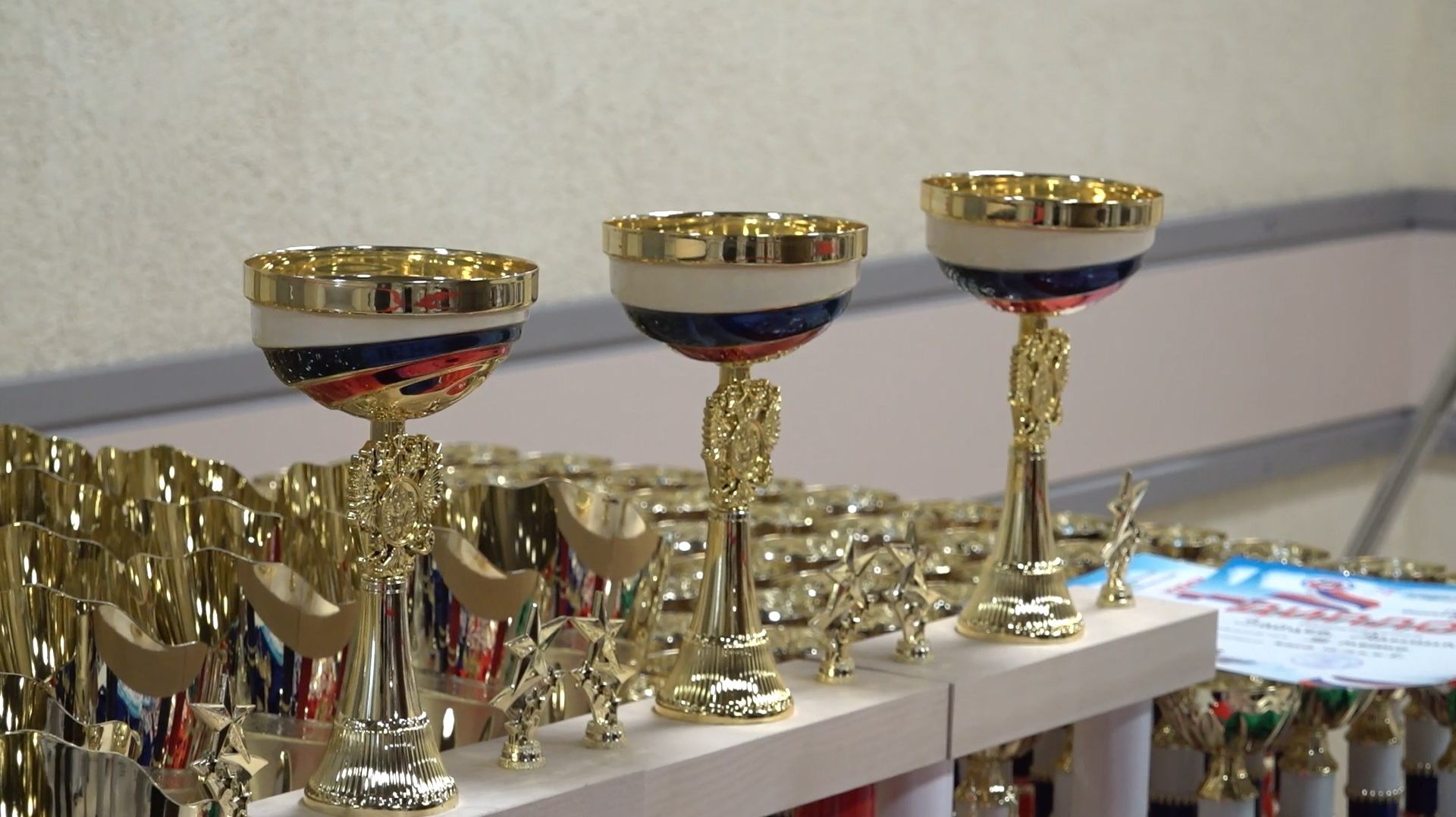 (12+) Мытищинские каратисты выступили на открытом кубке городского округа смотреть онлайн