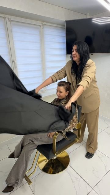 Колористика