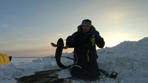 РЫБАЛКА НА НАЛИМА | ПРОВЕРКА ПЕРЕМЕТА 01.02.2026