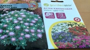 Этот способ посадки семян астр ускоряет всхожесть