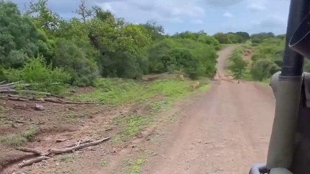 Когда ты полон решимости жить, тебя ничто не остановит Когда ты полон решимости жить, тебя ничто не остановит