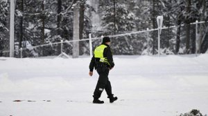В Финляндии задержаны четверо иностранцев при попытке перейти границу с Россией