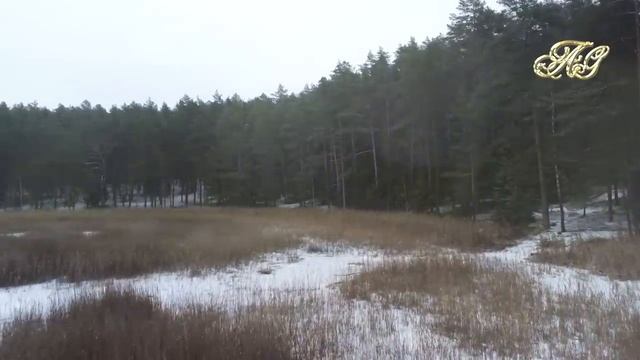 🐻Кто такой МЕДВЕДЬ ШАТУН и почему он ОПАСЕН?