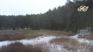 🐻Кто такой МЕДВЕДЬ ШАТУН и почему он ОПАСЕН?