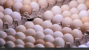 BZ сообщила о заполнении прилавков Европы низкосортными яйцами с Украины