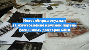 Новосибирца осудили за изготовление крупной партии фальшивых долларов США