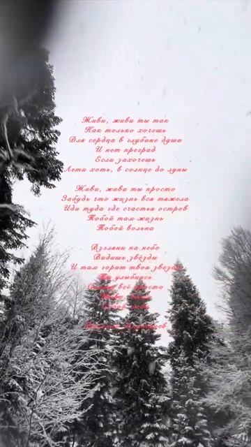 Живи! стихи читает автор В Дмитриев #поэт #чтец #мотивация #стихиожизни #стихиолюбви #жизнь #shorts