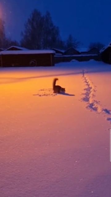 Подснежник