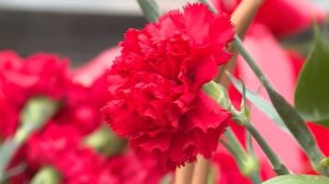 Песня "Сталинград" (автор и исполнитель Евгений Смирнов)