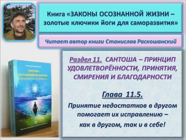 Аудио книга "Законы осознанной жизни". 11.5. Принятие недостатков в другом помогает их исправлению смотреть онлайн